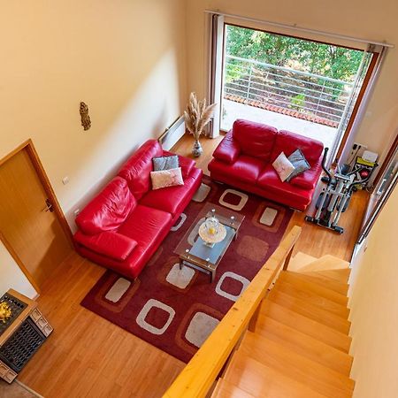 Apartments Maris Novigrad  Luaran gambar