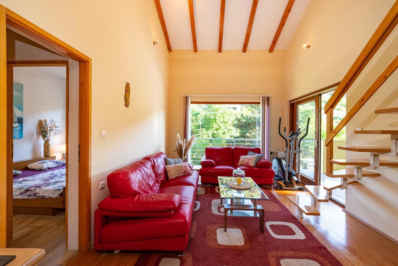 Apartments Maris Novigrad  Luaran gambar