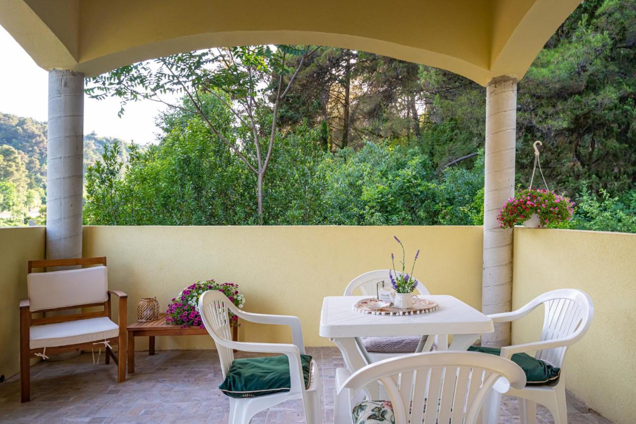 Apartments Maris Novigrad  Luaran gambar