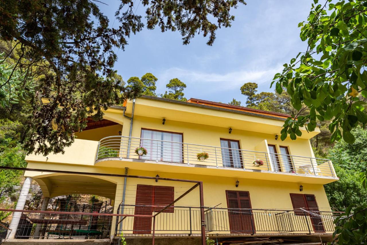 Apartments Maris Novigrad  Luaran gambar
